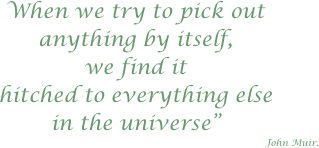 When we try to pick out 
anything by itself, 
we find it 
hitched to everything else 
in the universe”
John Muir.


